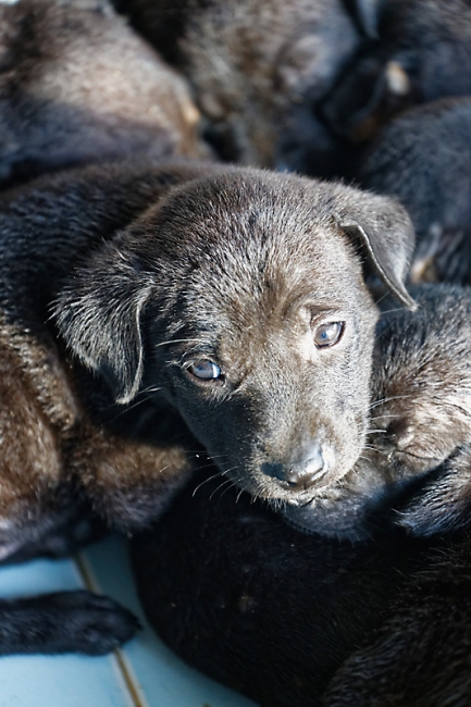 Famille et amis-MAI17-025